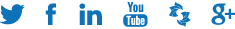 Social Icons